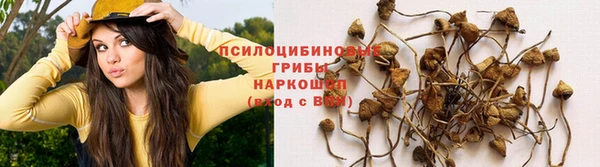 круглые Семёнов