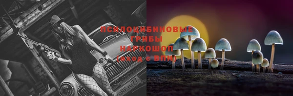 мяу мяу мука Семилуки