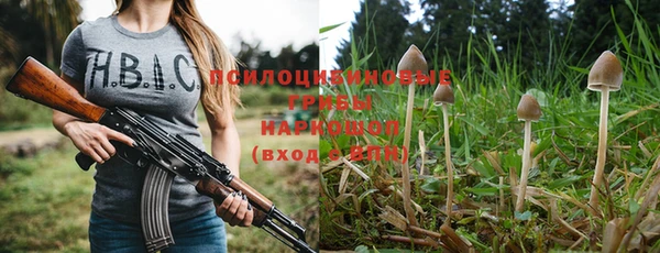 мяу мяу мука Семилуки