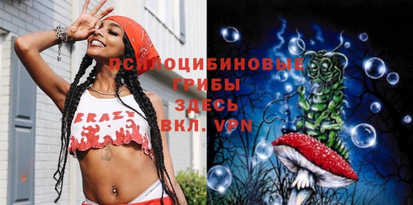 ГАЛЛЮЦИНОГЕННЫЕ ГРИБЫ Семикаракорск