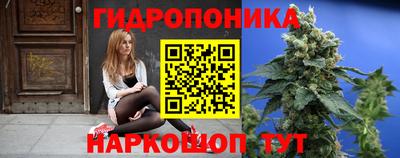 скорость Гатчина