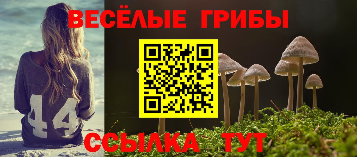 Галлюциногенные грибы Magic Shrooms Советск