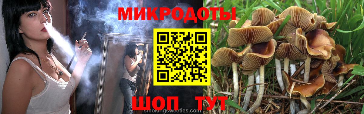 Советск  Псилоцибиновые грибы Cubensis  Псилоцибиновые грибы мухоморы  Вход с VPN 